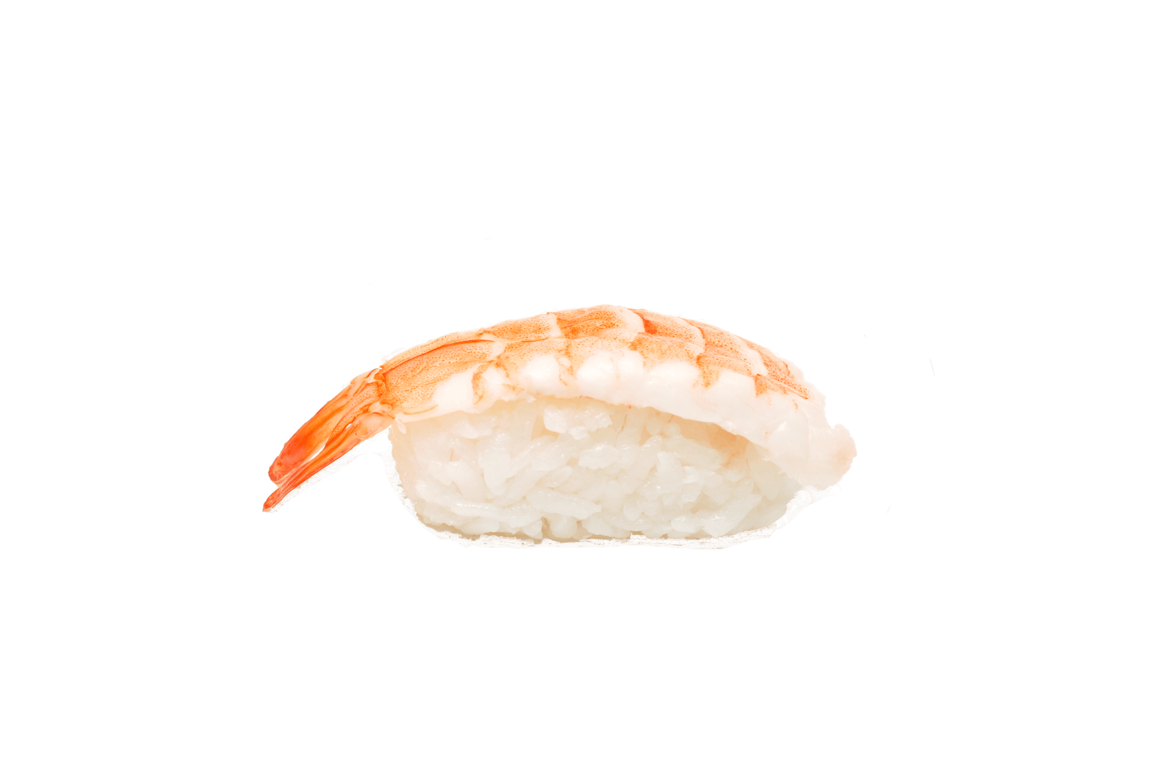 Ebi Nigiri